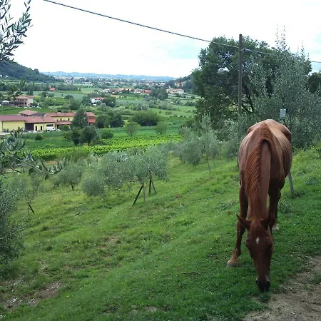 Lejlighed Casa Grinovero