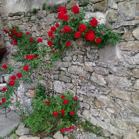 Casa Grinovero Apartment Cividale Del Friuli